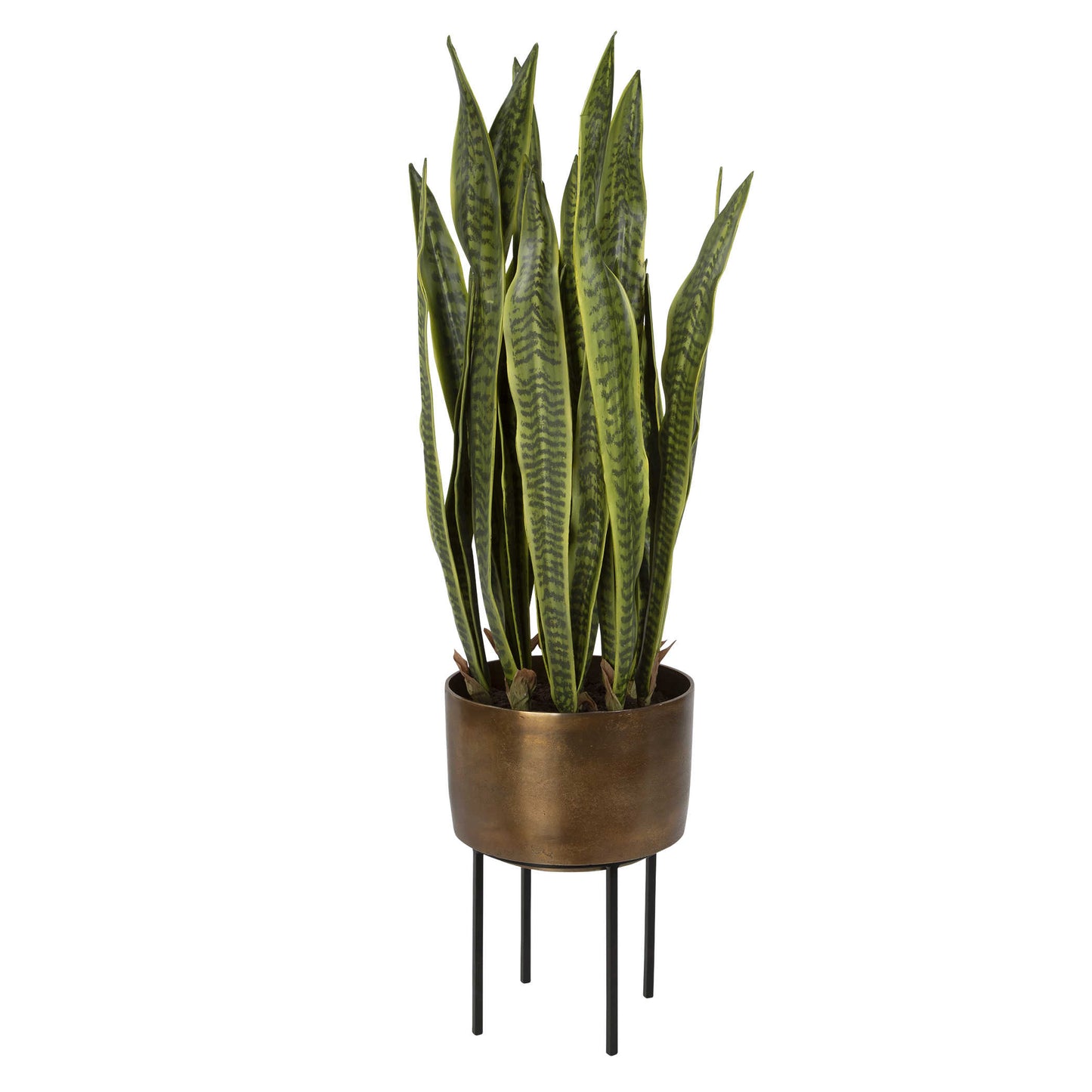 Fasita Planter, 2 Cartons