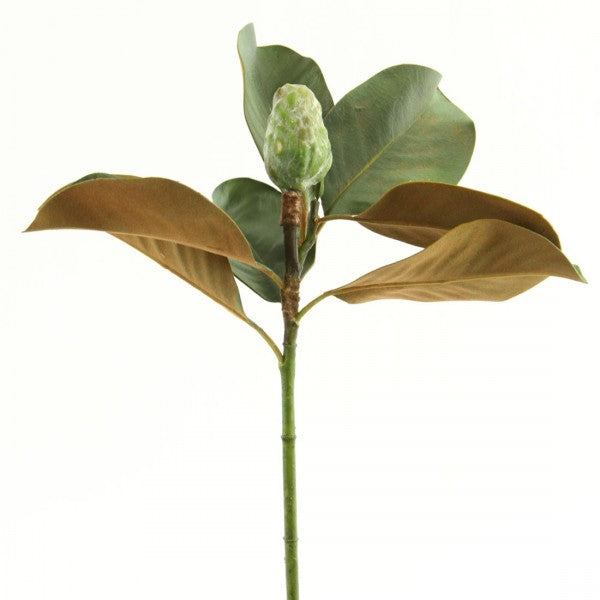 20" Magnolia Bud Green