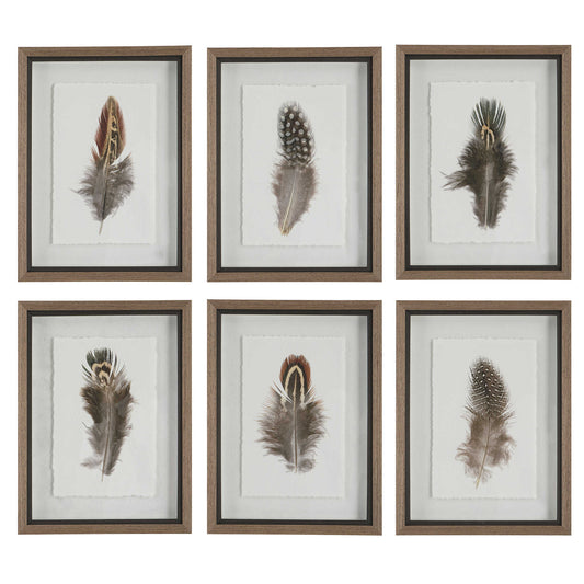 Birds of a feather framed prints