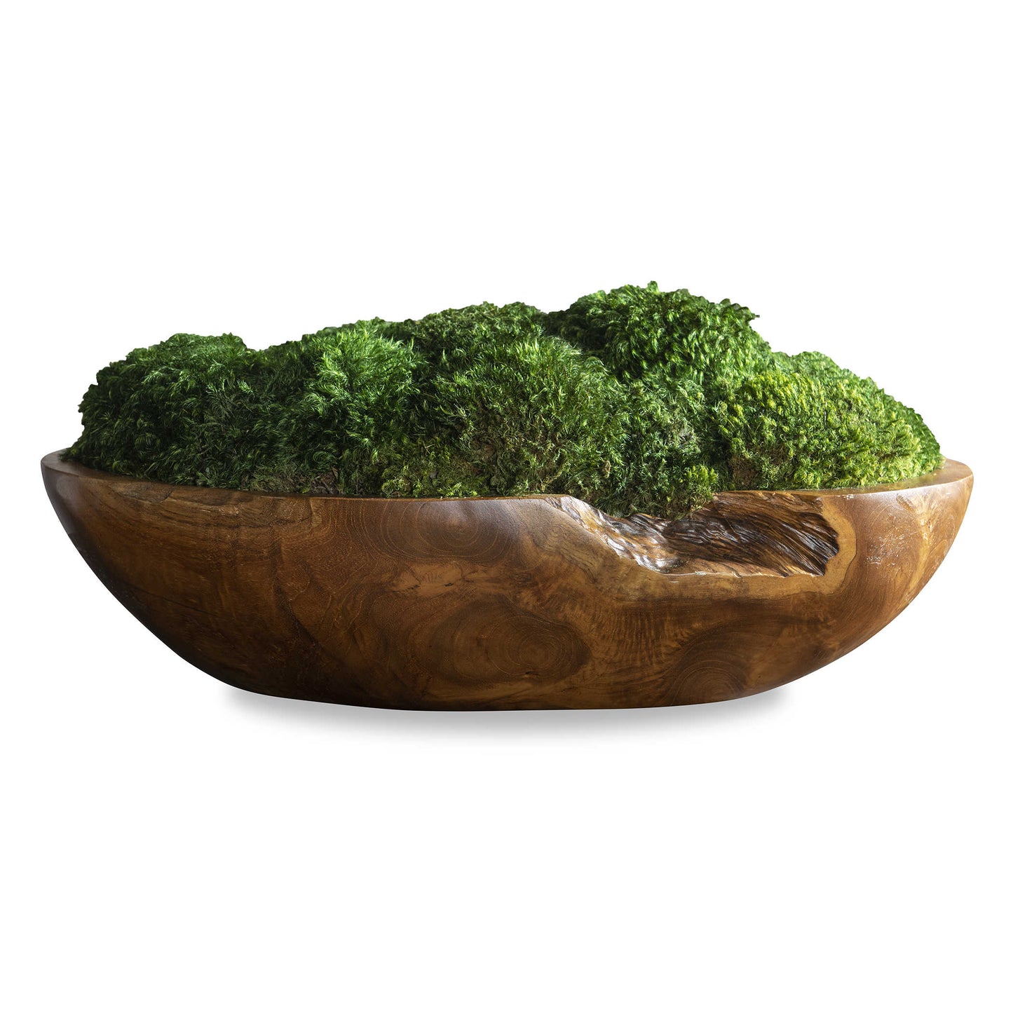 Kinsale Moss Centerpiece