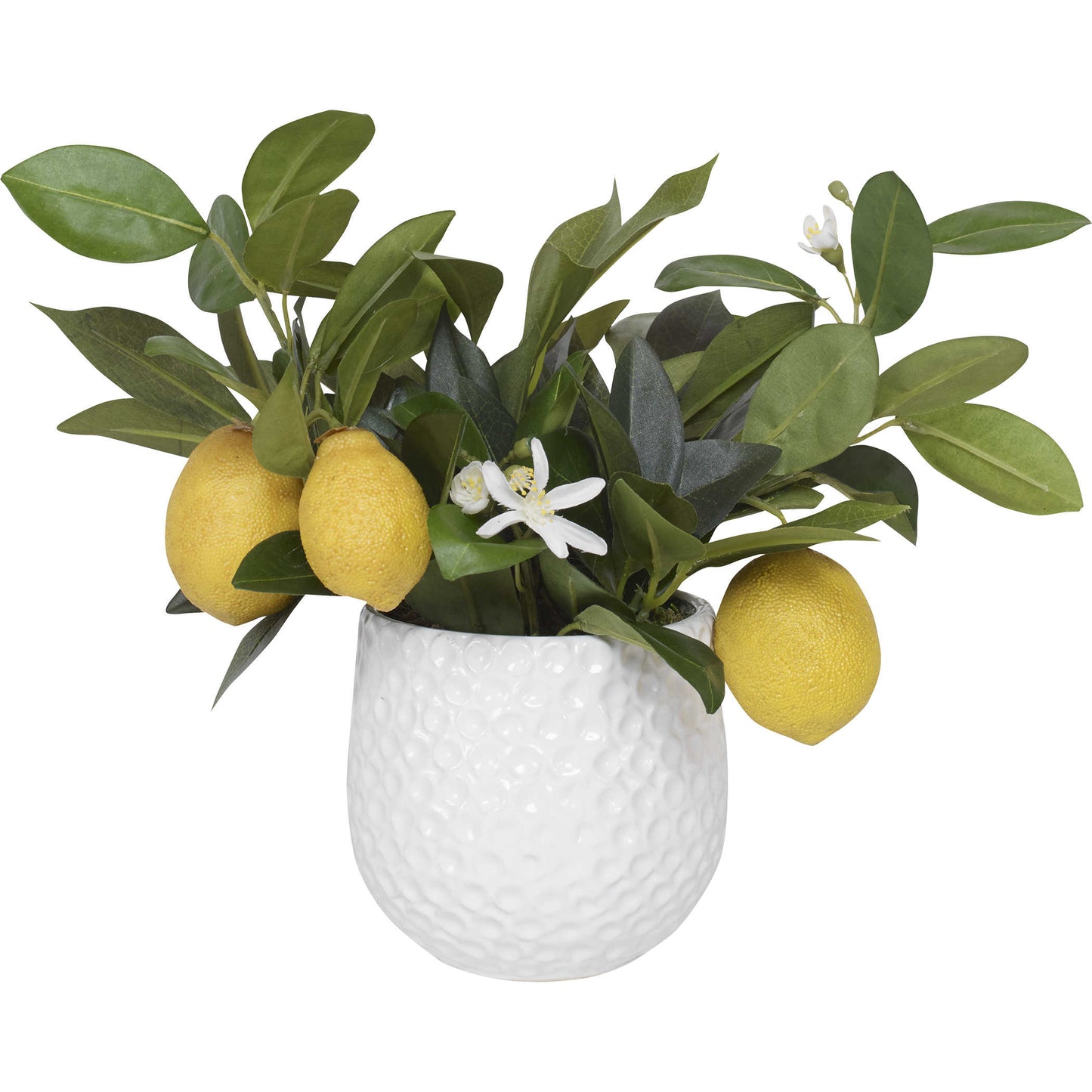 Positano Lemon Accent